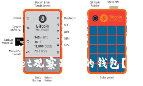 如何使用TPWallet观察别人的钱包？详细指南与技巧