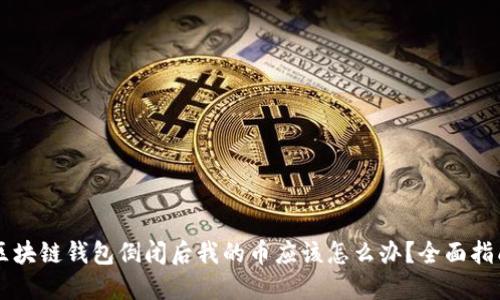 区块链钱包倒闭后我的币应该怎么办？全面指南