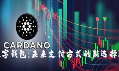 数字钱包：未来支付方式的新选择br