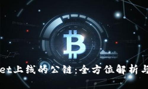 在TPWallet上线的公链：全方位解析与前景展望