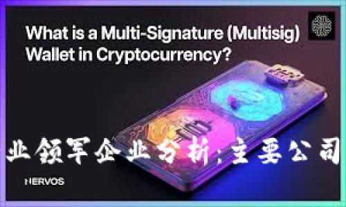 数字钱包行业领军企业分析：主要公司与市场前景