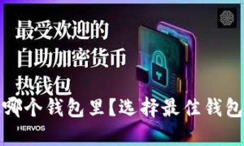 加密货币放哪个钱包里？选择最佳钱包的完全指南