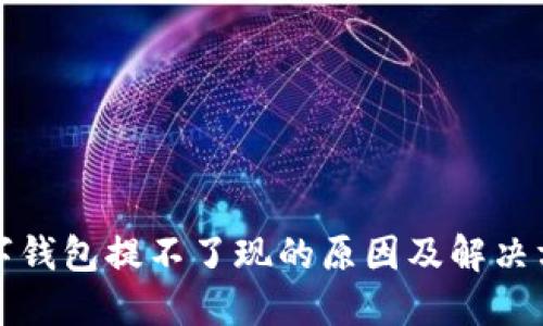 数字钱包提不了现的原因及解决方法