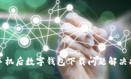 换手机后数字钱包下载问题解决指南