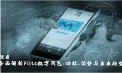 优质全面解析Flits数字钱包