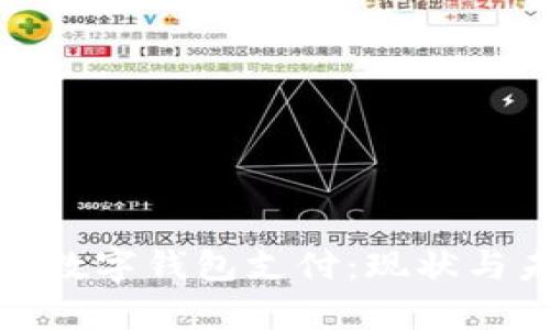 全面解析北京数字钱包支付：现状与未来发展趋势