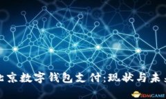 全面解析北京数字钱包支