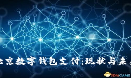 全面解析北京数字钱包支付：现状与未来发展趋势