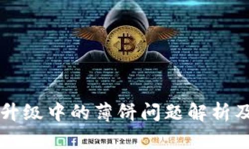 TPWallet升级中的薄饼问题解析及解决方案
