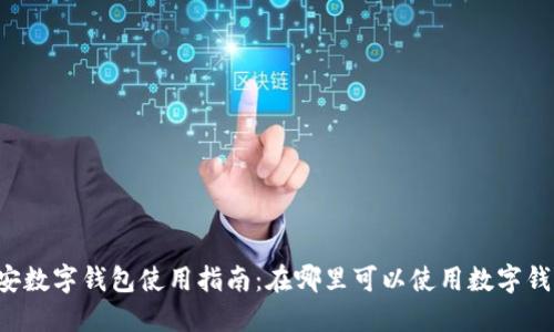 西安数字钱包使用指南：在哪里可以使用数字钱包？