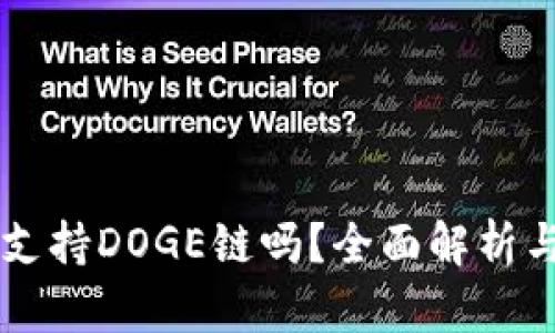 TPWallet支持DOGE链吗？全面解析与使用指南