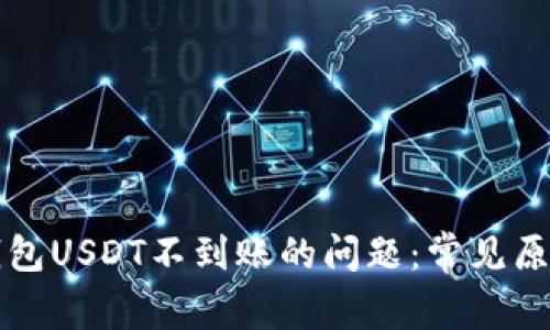 如何解决TP钱包USDT不到账的问题：常见原因与解决方案