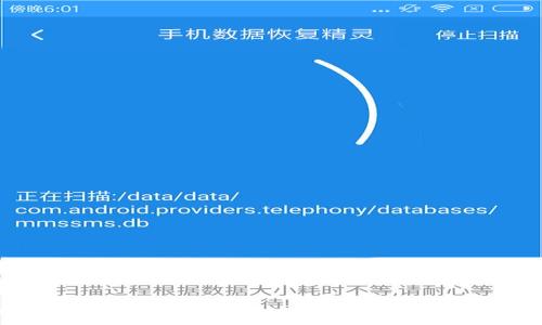   
伊朗加密货币钱包全攻略：现状、选择与使用心得