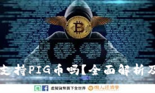 TPWallet支持PIG币吗？全面解析及使用指南