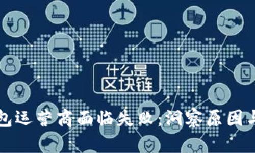 当数字钱包运营商面临失败：洞察原因与应对策略