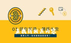 未找到相关内容