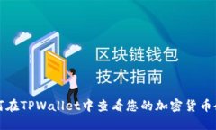 如何在TPWallet中查看您的加