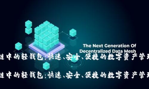 区块链中的轻钱包：快速、安全、便捷的数字资产管理方式

区块链中的轻钱包：快速、安全、便捷的数字资产管理方式