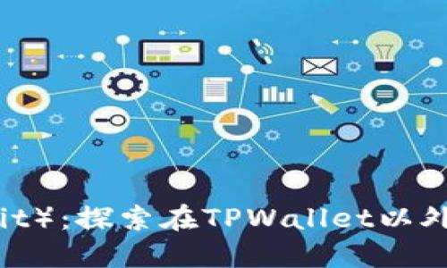 薄饼（Biscuit）：探索在TPWallet以外的交易平台