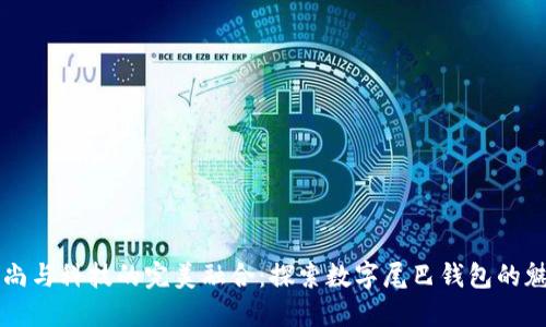 时尚与科技的完美融合：探索数字尾巴钱包的魅力
