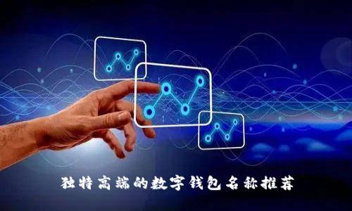 独特高端的数字钱包名称推荐