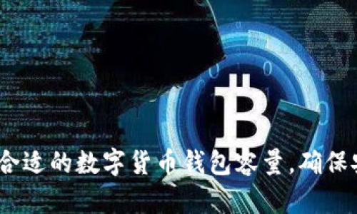  如何选择合适的数字货币钱包容量，确保安全与便捷