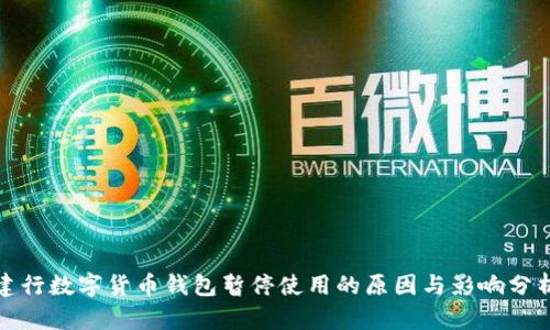建行数字货币钱包暂停使用的原因与影响分析