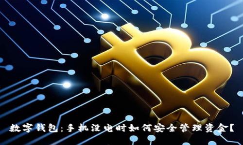 数字钱包：手机没电时如何安全管理资金？
