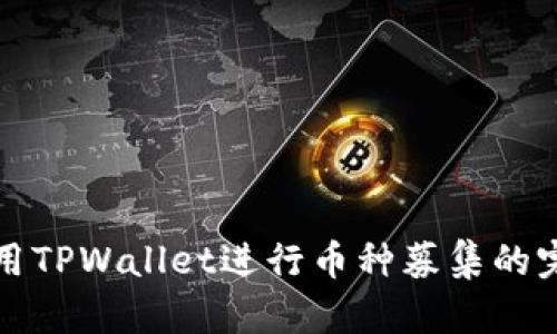 如何使用TPWallet进行币种募集的完美指南