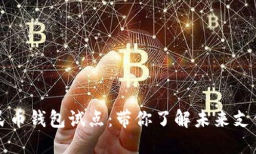 

云南数字人民币钱包试点：带你了解未来支付的革命之路

云南数字人民币钱包试点：带你了解未来支付的革命之路