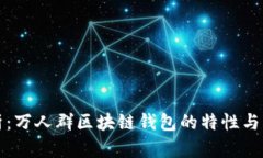 全面解析：万人群区块链