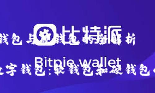 数字钱包：软钱包与硬钱包的全解析

不可不知的数字钱包：软钱包和硬钱包的对比与选择