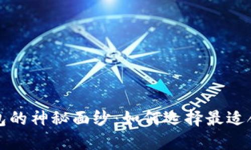 揭开第一大区块链钱包的神秘面纱：如何选择最适合你的加密资产守护神