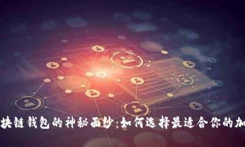 揭开第一大区块链钱包的神秘面纱：如何选择最适合你的加密资产守护神