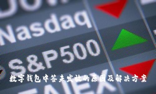 数字钱包中签未发放的原因及解决方案