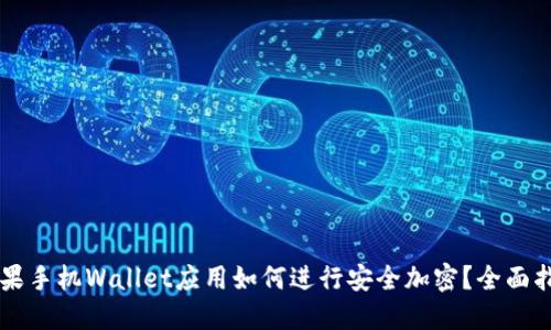 苹果手机Wallet应用如何进行安全加密？全面指南