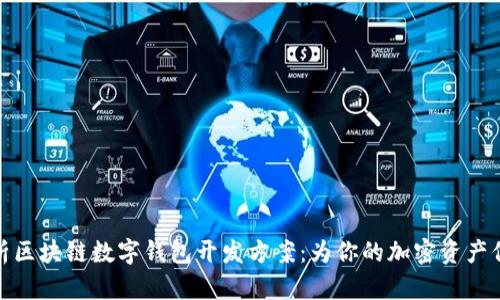全面解析区块链数字钱包开发方案：为你的加密资产保驾护航