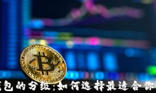 
探索数字钱包的分级：如何选择最适合你的数字钱包