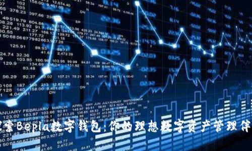 探索Bepla数字钱包：你的理想数字资产管理伴侣