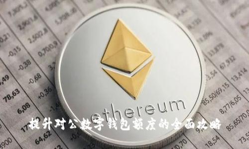 提升对公数字钱包额度的全面攻略