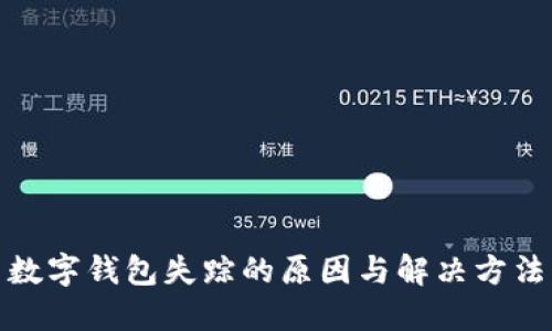 数字钱包失踪的原因与解决方法