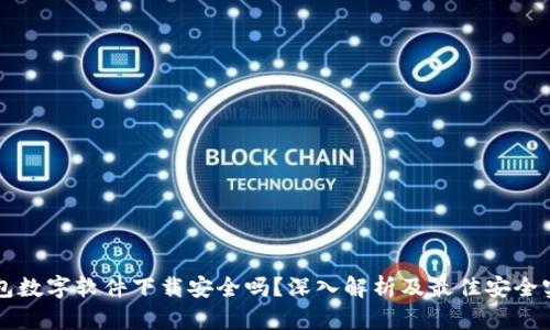 钱包数字软件下载安全吗？深入解析及最佳安全实践
