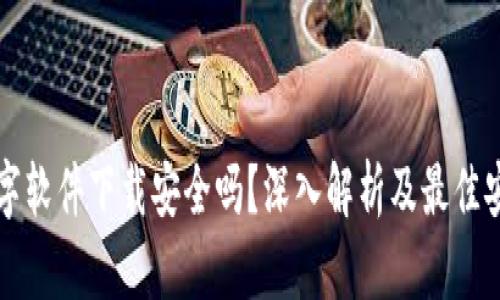 钱包数字软件下载安全吗？深入解析及最佳安全实践