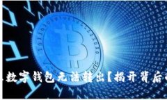 为什么数字钱包无法转出