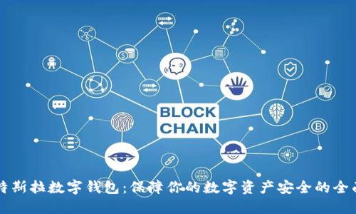 购买特斯拉数字钱包：保障你的数字资产安全的全面指南