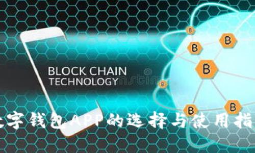 数字钱包APP的选择与使用指南