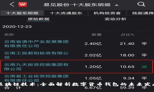 区块链技术：全面解析数字货币钱包的未来发展