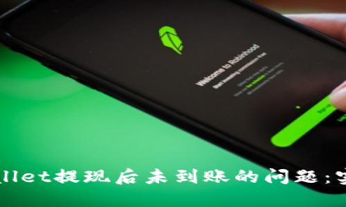 如何解决TPWallet提现后未到账的问题：实用指南与技巧