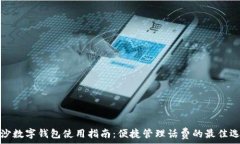   长沙数字钱包使用指南：