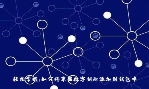 轻松掌握：如何将苹果数字钥匙添加到钱包中